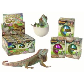 Keltető varázsgyík tojástermesztés 6 cm.