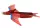 Hab Dinosaur Plane Piros