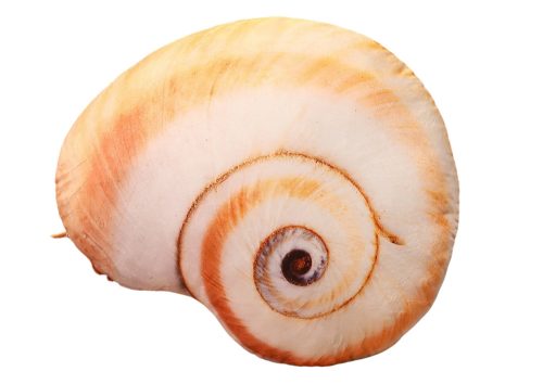 Plüss csigaház kabalája párna 50 x 40 cm