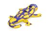 Inflatable Salamander For Swimming 191 x 119 cm Bestway 41502