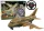 R/C repülőgép távirányítós katonai Camo Lights távirányító