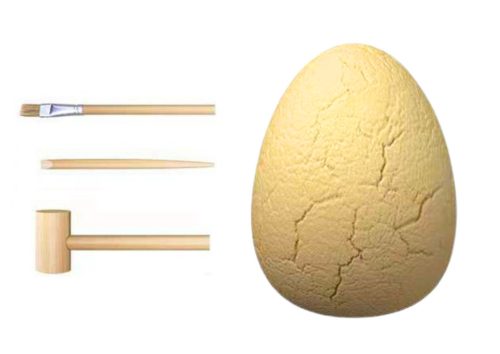 Régészeti készlet dinoszaurusz tojásfosszíliák