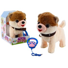   Interaktív kutya pórázon sétál, táncol, fehéren és bézsben énekel