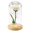 Örök Rózsa Üvegkupolában LED Világítás Fehér 21x11cm