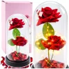 Örök 2 Rózsa Kupolában LED Világítással és Rózsaszirmokkal Piros 21x11cm
