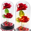 Örök 2 Rózsa Kupolában LED Világítással és Rózsaszirmokkal Piros 21x11cm