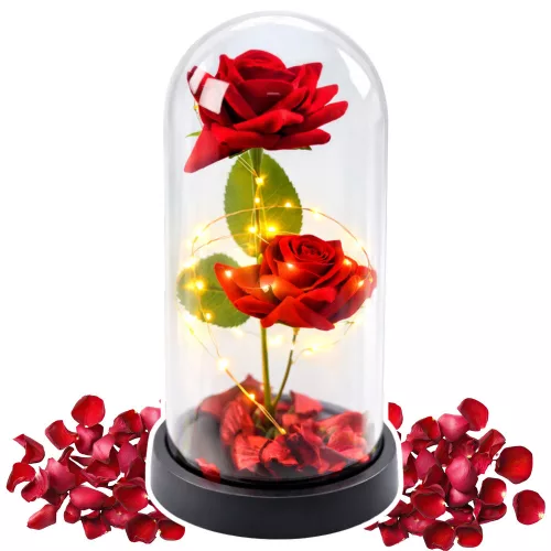Örök 2 Rózsa Kupolában LED Világítással és Rózsaszirmokkal Piros 21x11cm