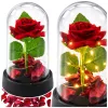 Örök Rózsa Kupolában LED Világítással Piros Rózsaszirmokkal 14x8cm
