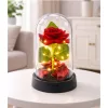 Örök Rózsa Kupolában LED Világítással Piros Rózsaszirmokkal 14x8cm