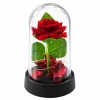 Örök Rózsa Kupolában LED Világítással Piros Rózsaszirmokkal 14x8cm