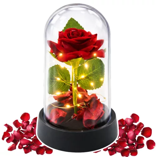 Örök Rózsa Kupolában LED Világítással Piros Rózsaszirmokkal 14x8cm