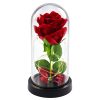 Örök Rózsa Kupolában LED Világítással Piros 21x11cm