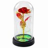 Örök Kristály Rózsa Kupolában LED Világítással Piros 21x11cm