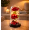 Örök 2 Rózsa Kupolában LED Világítással és Rózsaszirmokkal Piros 21x11cm