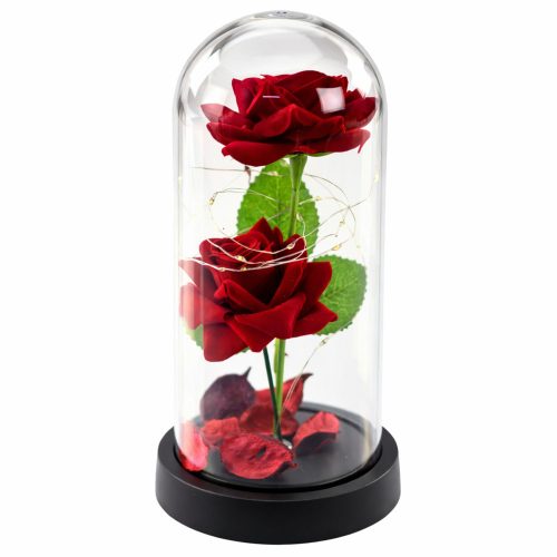 Örök 2 Rózsa Kupolában LED Világítással és Rózsaszirmokkal Piros 21x11cm