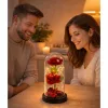 Örök 2 Rózsa Kupolában LED Világítással és Rózsaszirmokkal Piros 21x11cm