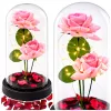 Örök Rózsák Kupolában LED Világítással és Rózsaszirmokkal Rózsaszín 21x11cm