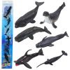 Mini figura készlet tengeri állatok emlősök gyilkos bálna fotó delfin 6-8 cm 6db