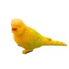 Mini figurák készlet Exotic Birds Hibiszkusz sárga 4-11cm 6db