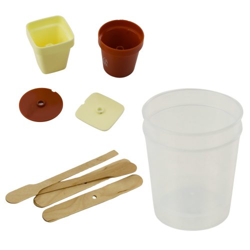 Oktatási készlet Növekvő varázskristályfa