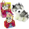 Husky Dog Egy táskában Plüss Kabalája Bújójáték Fehér Szürke