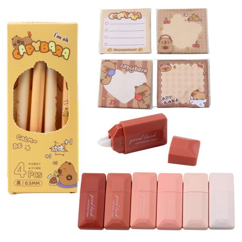 Kétrekeszes iskolai tolltartó zsebekkel és kiegészítőkkel Capybara 21x12 cm