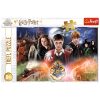 Harry Potter Puzzle 300 db. A titokzatos Harry Potter 23001