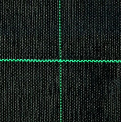 Alapértelmezett név