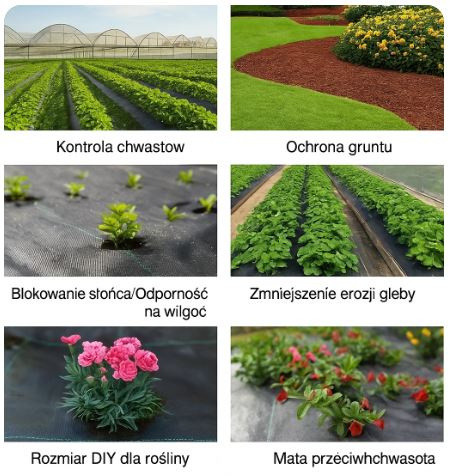 Alapértelmezett név