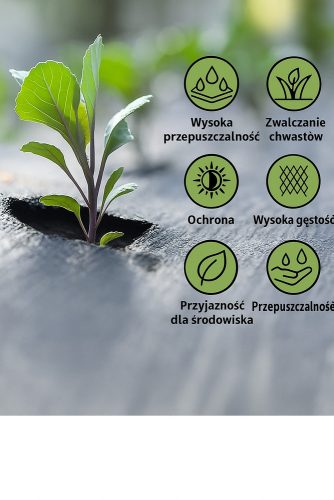 Alapértelmezett név