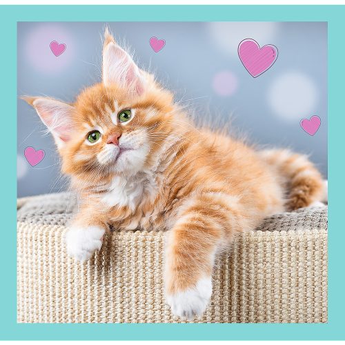 Rejtvény - "3 az 1-ben" - Aranyos állatok Trefl 34862