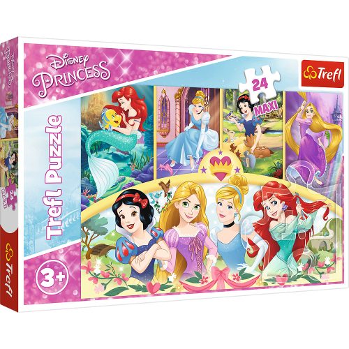 Rejtvény - 24 Maxi - Az emlékek varázsa - Disney Princess 14294