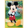 Rejtvény - 3x50 - Egerek vakáción Disney Trefl 34881