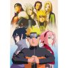 Rejtvény – 1000 – Naruto Team – Masashi Trefl – 10940