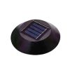 Solar Garden LED lámpák Kolibri Bells Blue 70cm