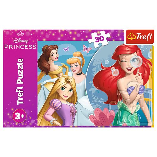 Rejtvény – 30 darab – Egy gyönyörű nap hercegnőkkel – Disney Princess Trefl 18308