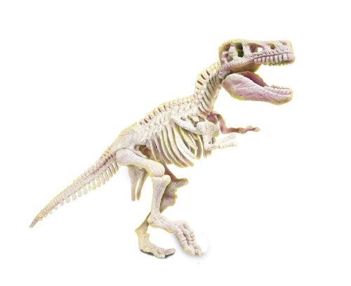 Tudományos szórakoztató fosszíliák T-Rex csontváz lengyel nyelven Clementoni 50858