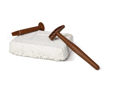 Tudományos szórakoztató fosszíliák T-Rex csontváz lengyel nyelven Clementoni 50858