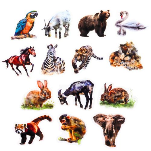 Csúszós átlátszó vadállat matricák szett 50 db.