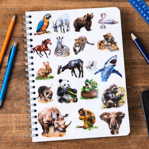 Csúszós átlátszó vadállat matricák szett 50 db.