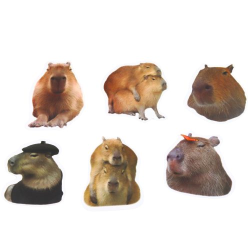 Kapibara papírmatrica szett valódi képek 50 db.