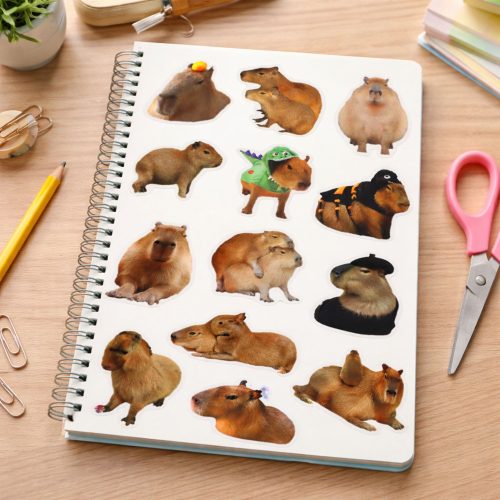 Kapibara papírmatrica szett valódi képek 50 db.