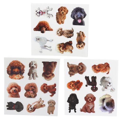 Dobozos és kutyás matricakészlet különféle motívumok díszítésére 54 db.