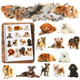   Kutyamatrica szett Különböző Fajok Csúszós Átlátszó 50 db.