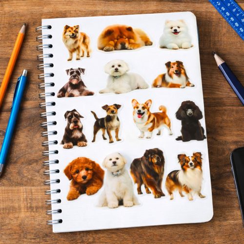 Kutyamatrica szett Különböző Fajok Csúszós Átlátszó 50 db.