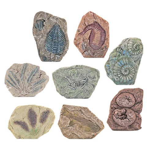 Őslénytani ásatási készlet gipszblokk eszközök