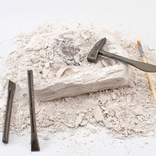 Őslénytani ásatási készlet gipszblokk eszközök