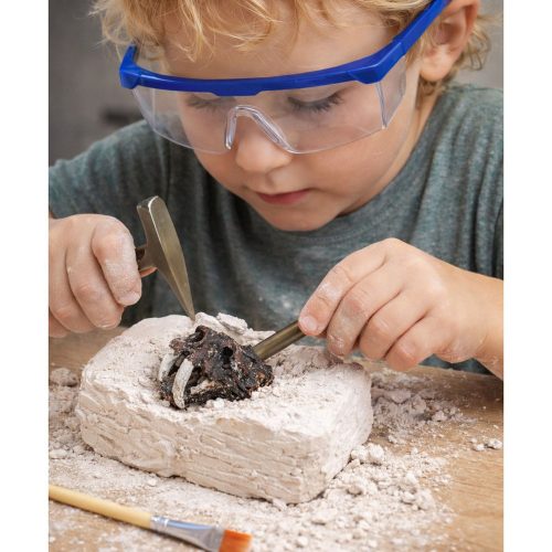 Régészeti ásatási készlet Koponyák Csontok Eszközök Kiegészítők