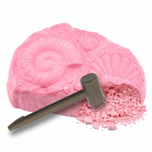 Tengeri régészeti készlet Tengeri fosszíliák Kagylók Eszközök