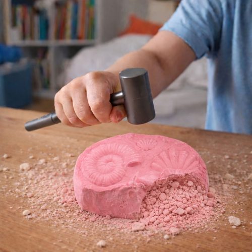 Tengeri régészeti készlet Tengeri fosszíliák Kagylók Eszközök